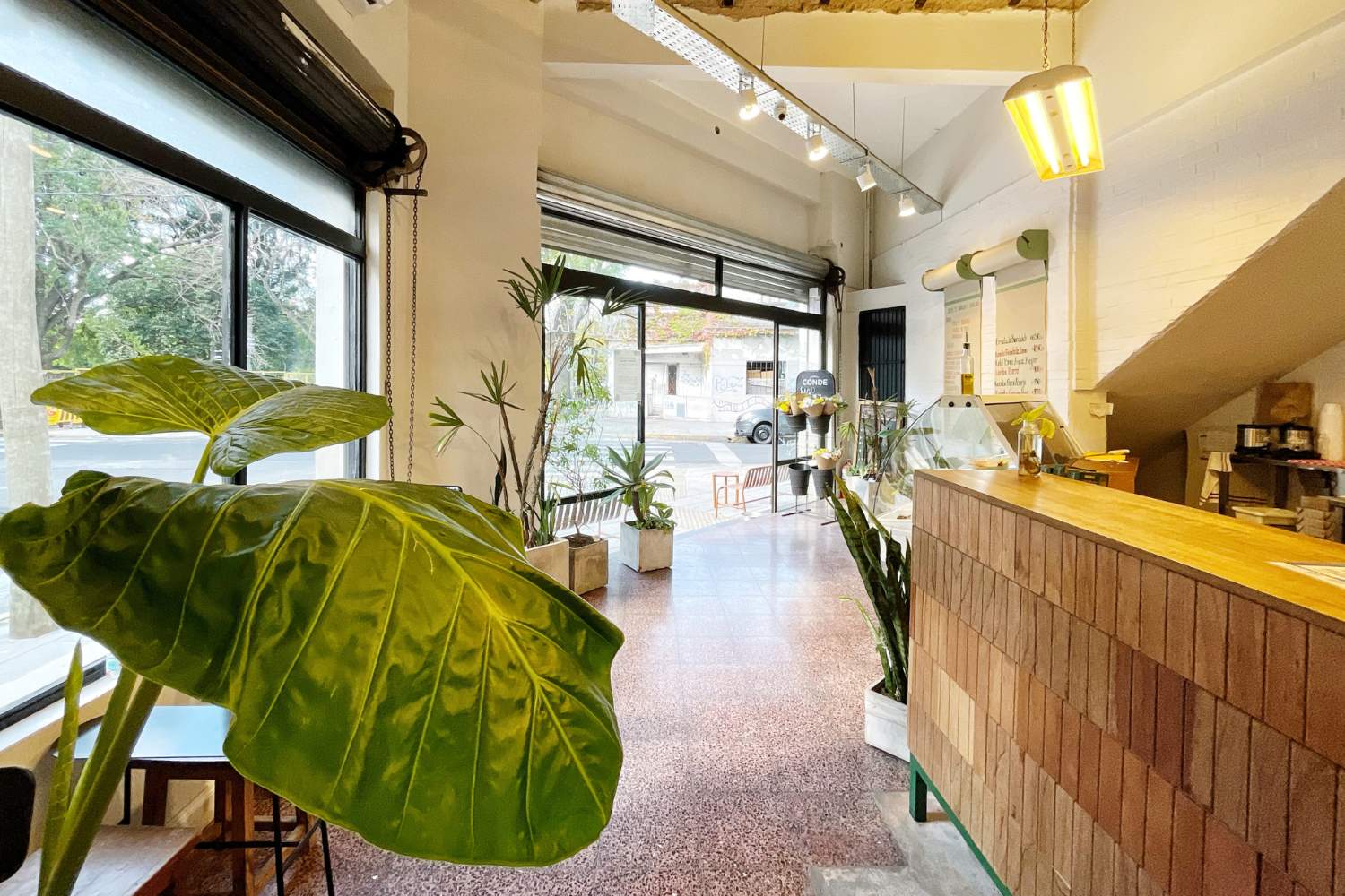 Arquitectura | Bel Air | Proyecto La Manteca